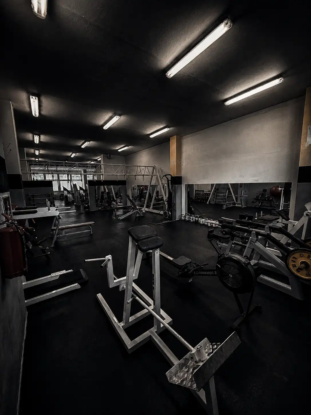 Gym & posilovna — fotka prostoru 2